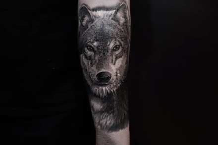一组欧美动物写实纹身图案