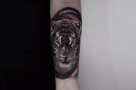 一组写实风格的老虎纹身图案