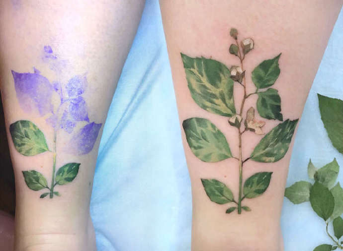 一组把植物纹在身上的纹身图案