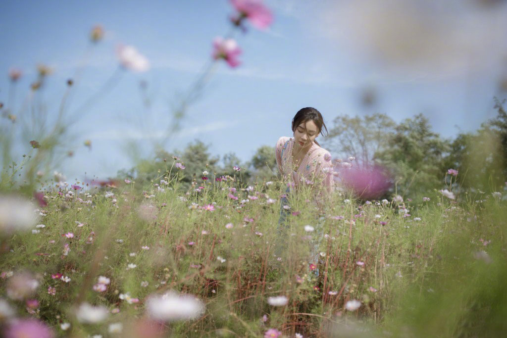 袁姗姗花田小清新写真图片