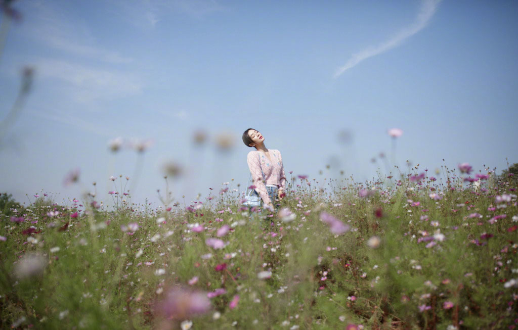 袁姗姗花田小清新写真图片