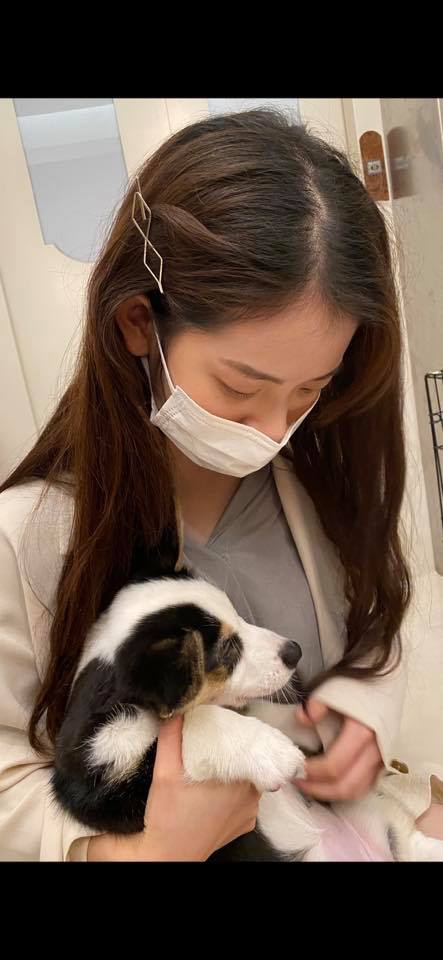 王彩桦晒大女儿清新甜美美照图片