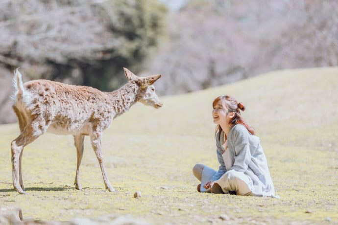 宋伊人少女清新时尚写真