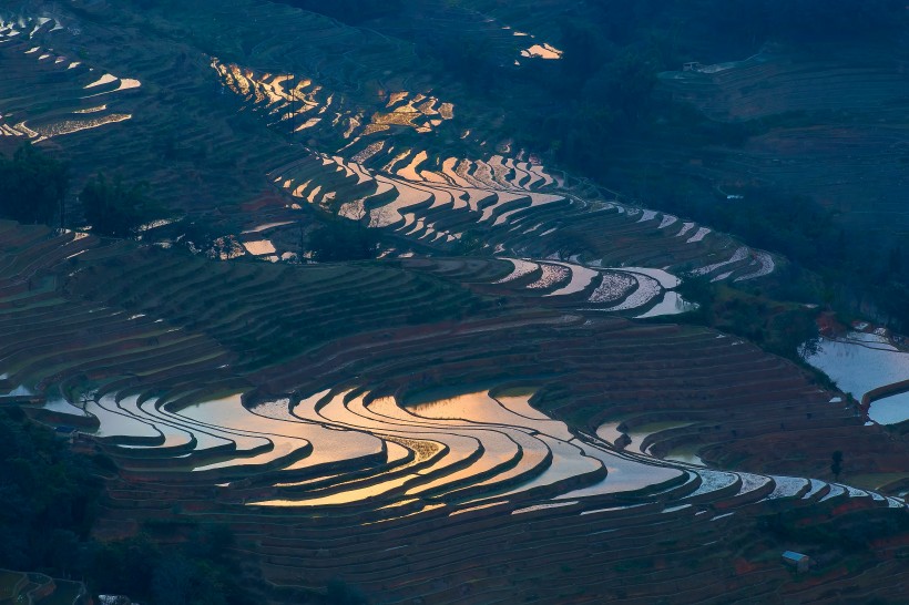 云南元阳梯田风景图片(12张)