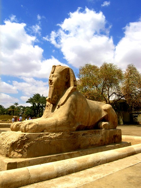 非洲埃及风景图片(12张)