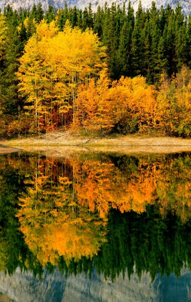 加拿大阿尔伯塔秋景图片(11张)