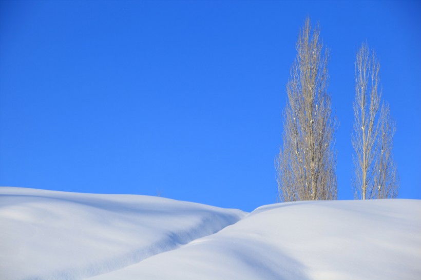 新疆阿勒泰雪景图片(9张)