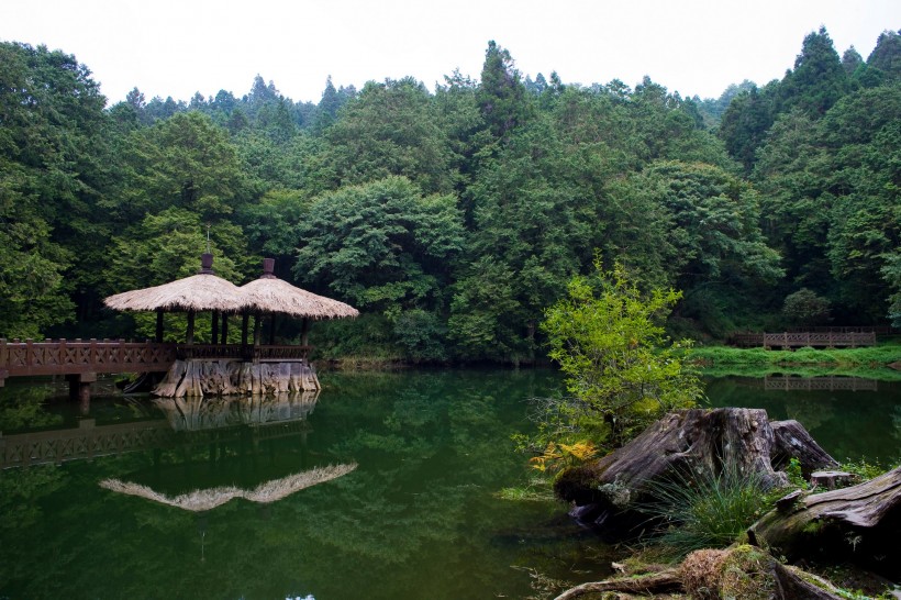 阿里山迷人风景图片(60张)