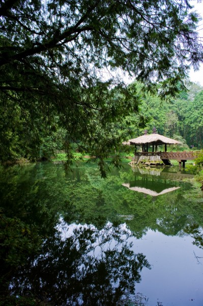 阿里山迷人风景图片(60张)