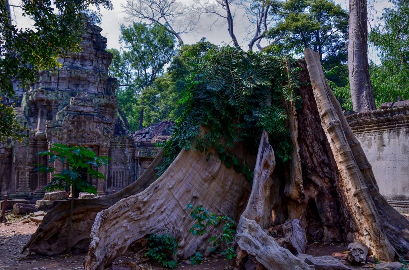 柬埔寨吴哥窟风景图片(9张)