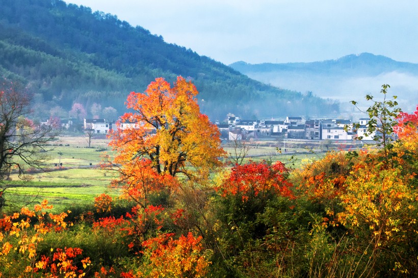 安徽塔川风景图片(13张)