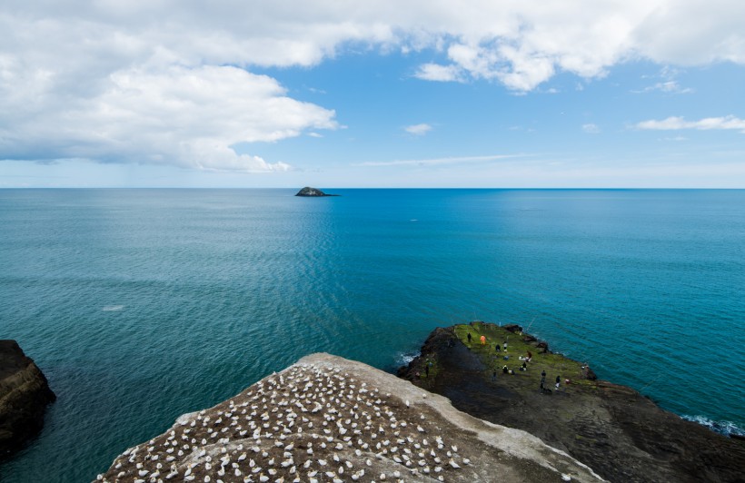 新西兰奥克兰鸟岛风景图片(10张)