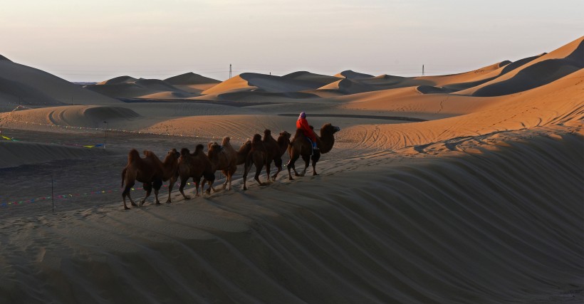 内蒙古巴丹吉林沙漠图片(11张)