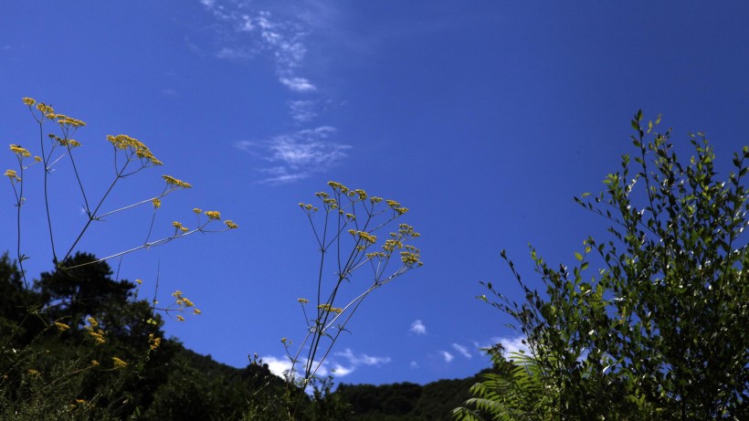 北京白草畔风景图片(18张)