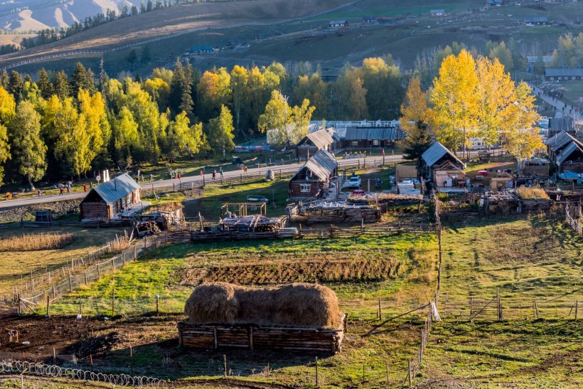 新疆白哈巴村风景图片(10张)
