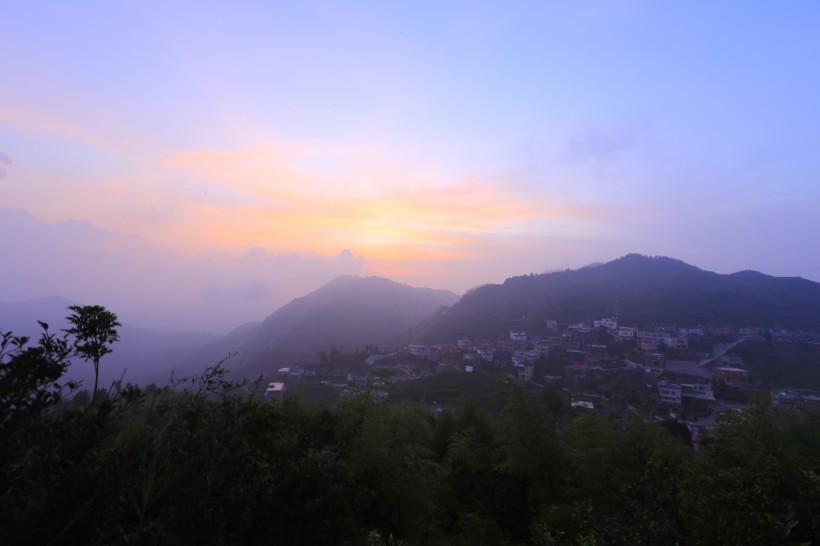 厦门同安白交祠山上的茶园风景图片(8张)