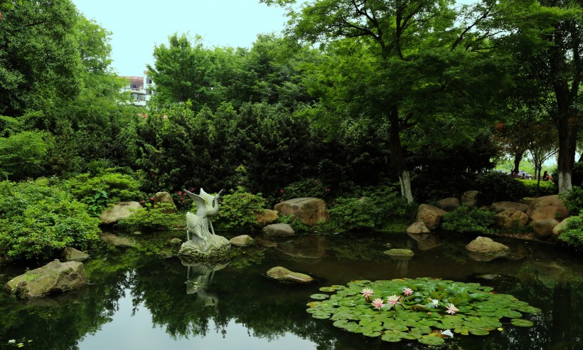 南京白鹭洲公园风景图片(9张)