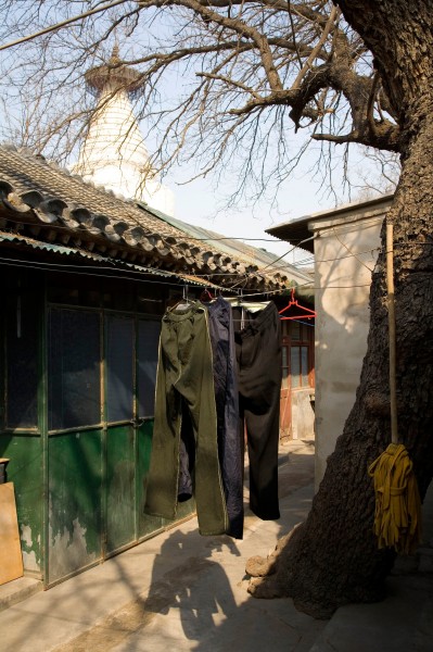 北京白塔寺图片(16张)