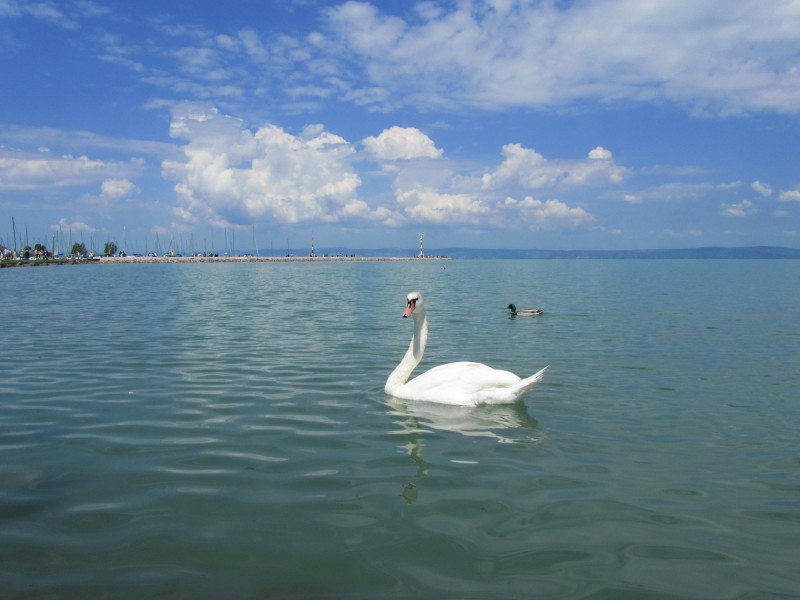 匈牙利巴拉顿湖风景图片(19张)