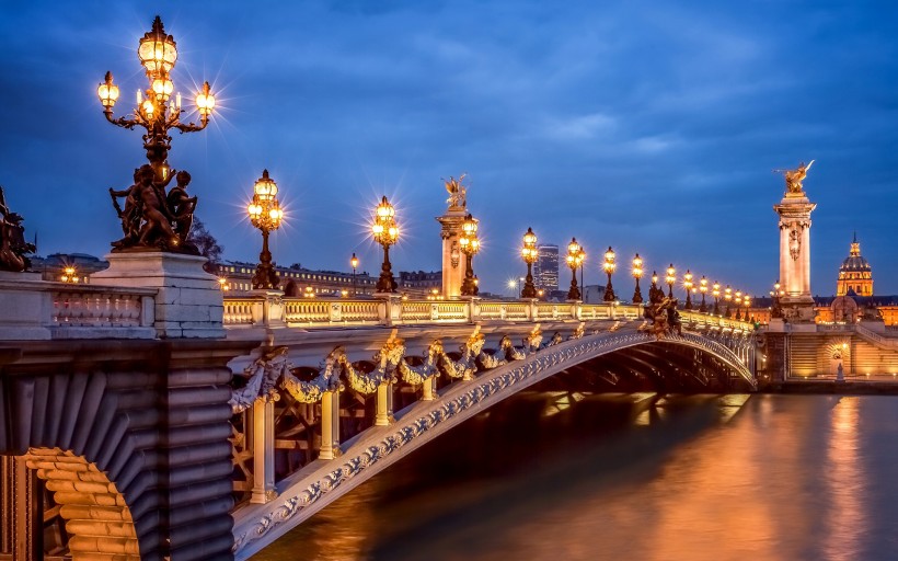 巴黎城市灯火辉煌的夜景图片(29张)