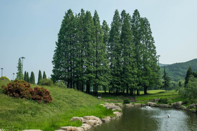 辽宁大连棒棰岛风景图片(15张)