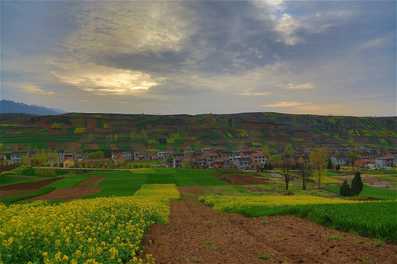 陕西西安鲍旗寨村油菜花风景图片(11张)