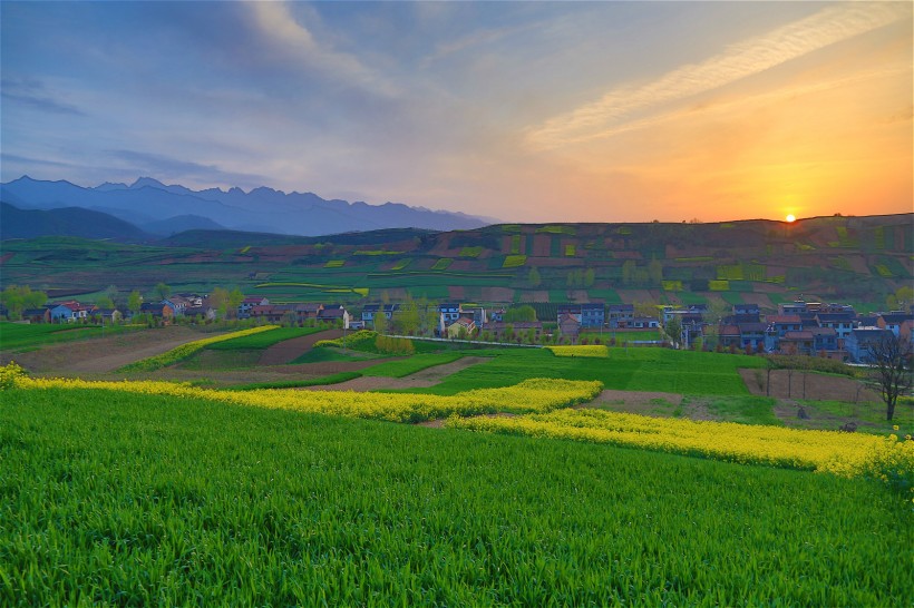 陕西西安鲍旗寨村油菜花风景图片(11张)