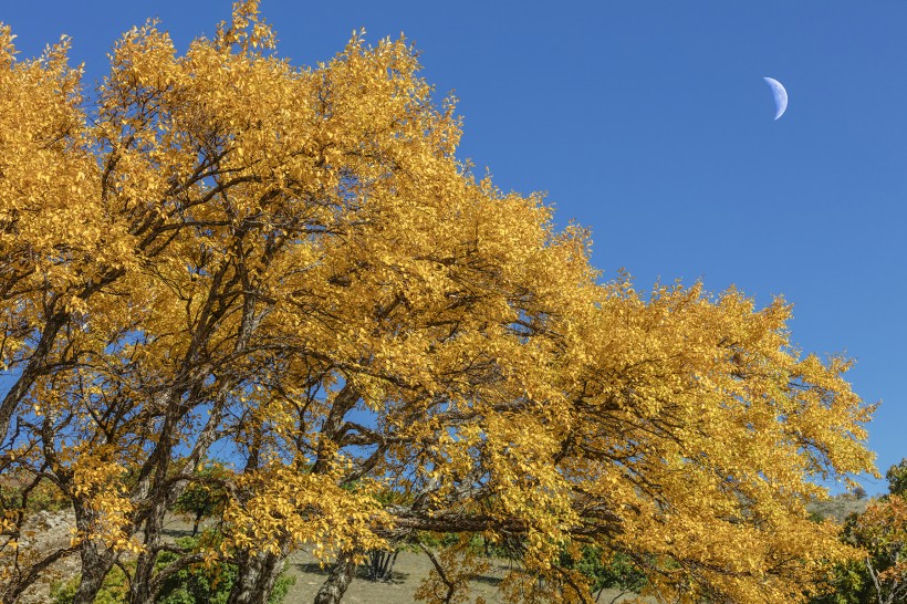 河北坝上草原风景图片(10张)