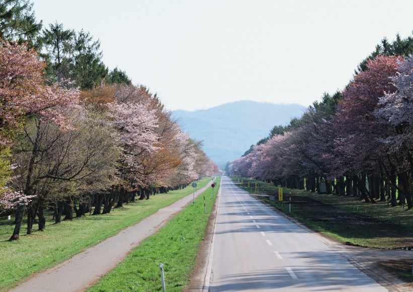 北海道春季美景图片(10张)