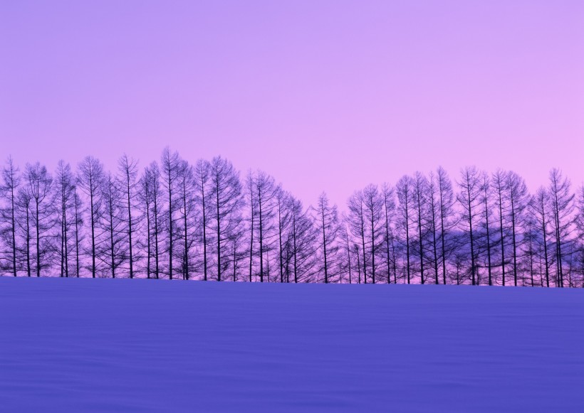 北海道冬季风景图片(15张)