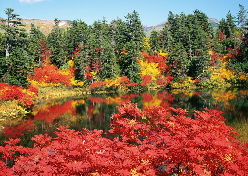 北海道秋季景色图片(10张)