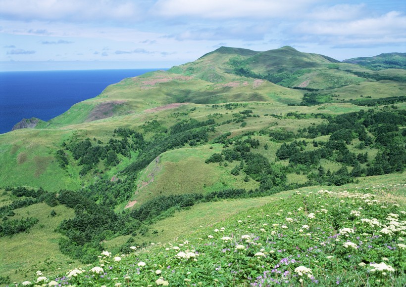 北海道夏季风景图片(26张)