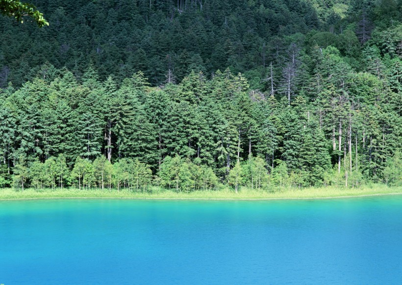 北海道夏季风景图片(26张)