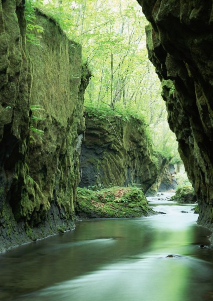 北海道夏季风景图片(26张)