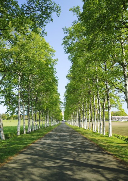 北海道夏季风景图片(26张)