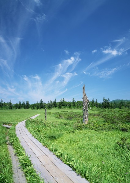 北海道夏季风景图片(26张)