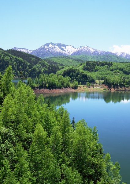 北海道夏季风景图片(26张)