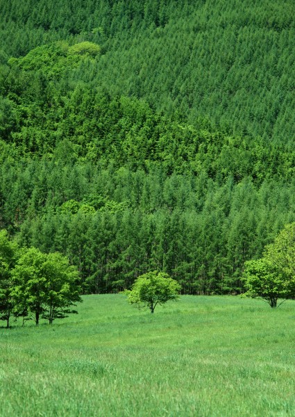 北海道夏季风景图片(26张)