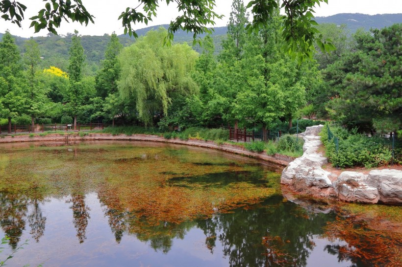 北京植物园风景图片(15张)