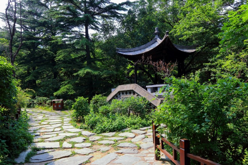 北京植物园风景图片(15张)