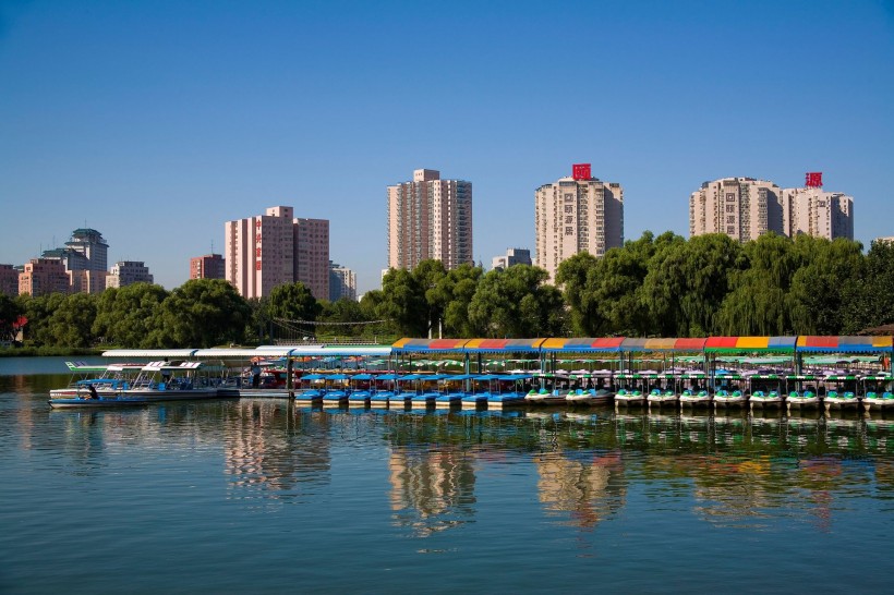 北京紫竹院公园图片(8张)
