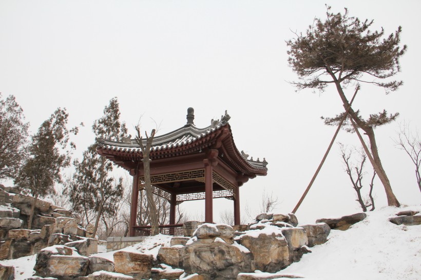 天津北宁公园雪景图片(23张)