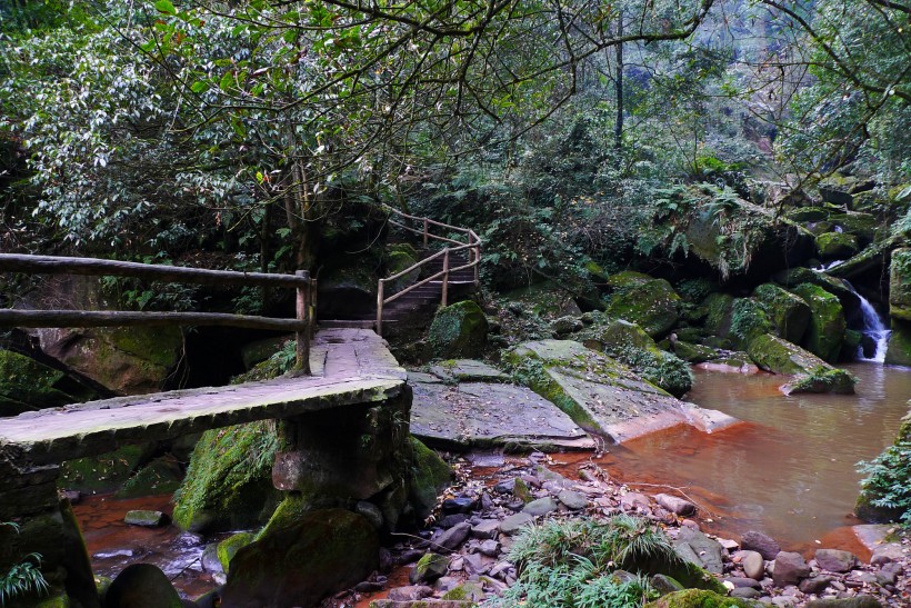 四川碧峰峡风景图片(17张)