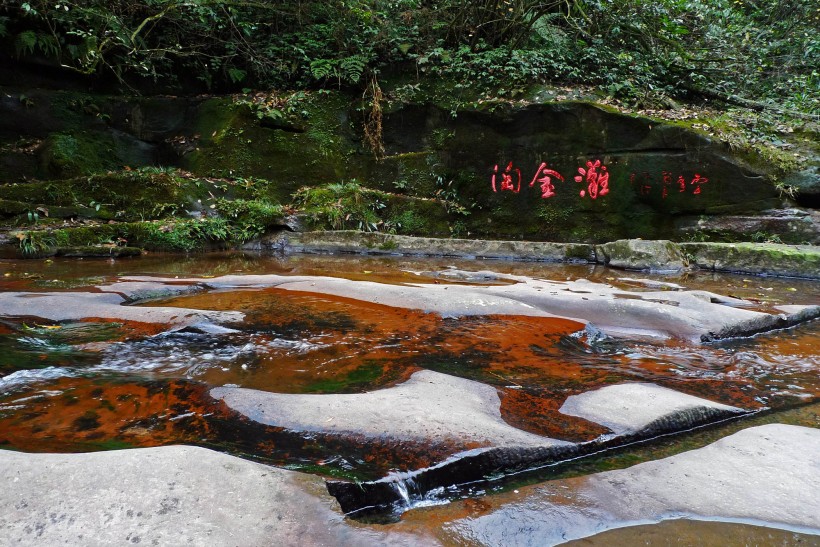 四川碧峰峡风景图片(17张)