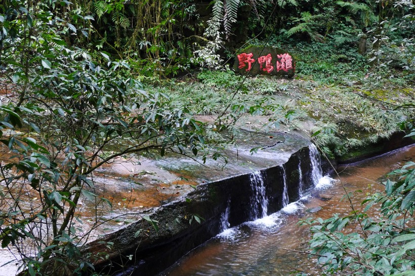 四川碧峰峡风景图片(17张)