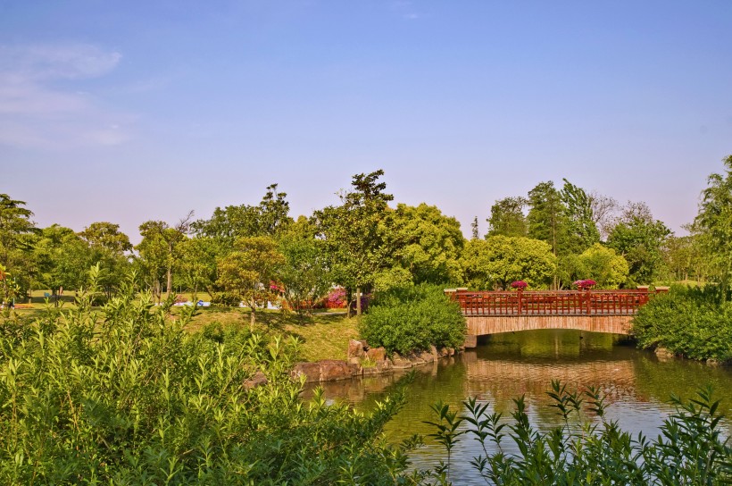 上海滨江森林公园风景图片(5张)