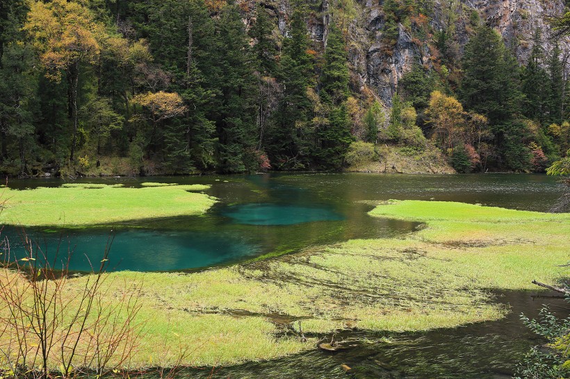 四川九寨沟彩林风景图片(14张)