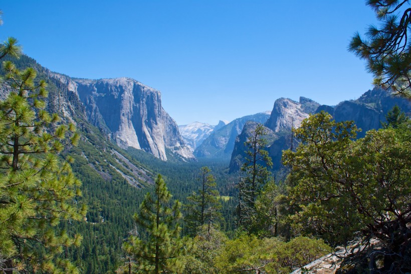 美国加州森林路径风景图片(19张)