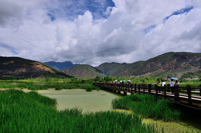 泸沽湖草海风景图片(8张)