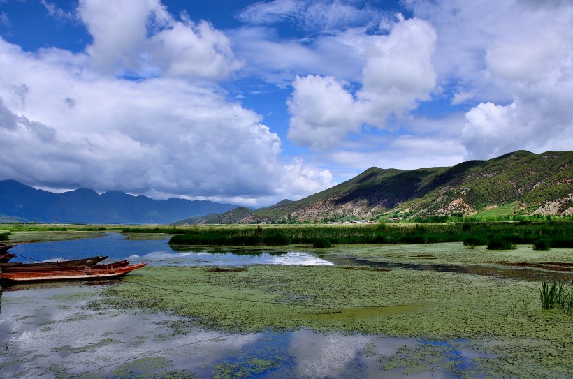 泸沽湖草海风景图片(8张)